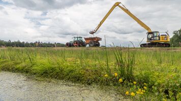 Maschinelle Torfmoosernte in Hankhausen (Foto: Ph. Schroeder)