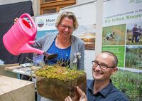 Umweltministerin Schulze bei der Wiedervernässung eines Mini-Moores. (Foto: Espen Eichhöfer/BMU)