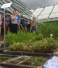 Führung durch neue GMC-Ausstellung im Greifswalder Paludarium (Bild: greifswaldmoor )