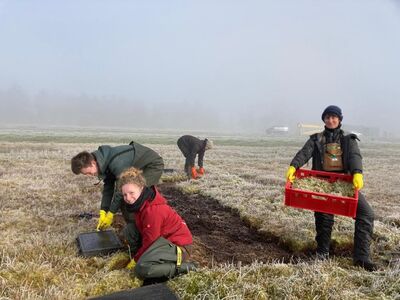 Torfmoosernte für den Biannale-Pavillon (Foto: Christy Gast)