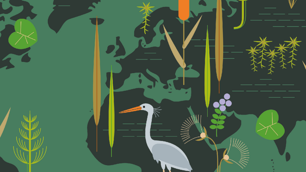 Peatland Atlas cover - Creator: Heinrich-Böll-Stiftung. This image is licensed under Creative Commons License.