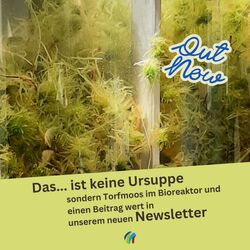 SOM-Card für Paludikultur-Newsletter 1|2024 (Bild: Maria Glaubitz)