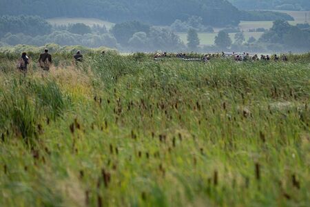 Field day on paludiculture at the pilot site for cattail cultivation (Photo: St. Busse)