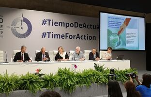 Peatland panel at COP25 (Photo: J. Peters)