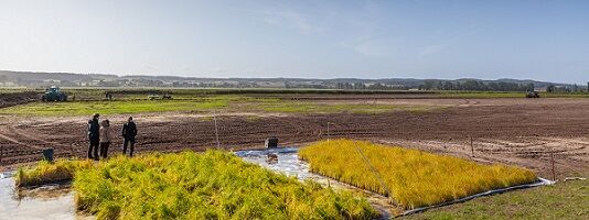 RRR2021-Postkarte (Foto: T. Dahms)