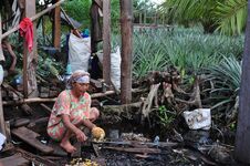 Oil palm and ananas plantation on drained peatland (Foto: Hans Joosten)
