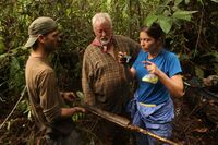 Turf extraction on Borneo (Photo: Tilmann Silber)