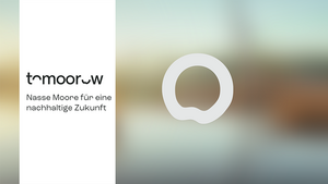 toMOORow-Website (C: Succow Stiftung)