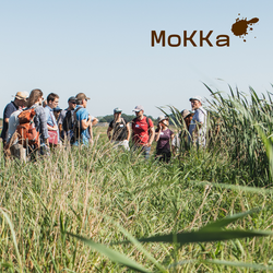 SOM-Card zur MoKKa-Abschlusskonferenz (Foto: Stephan Busse)