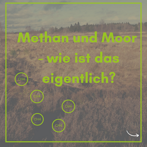 Methan und Moor - wie ist das eigentlich (Illustration: GMC per canva)