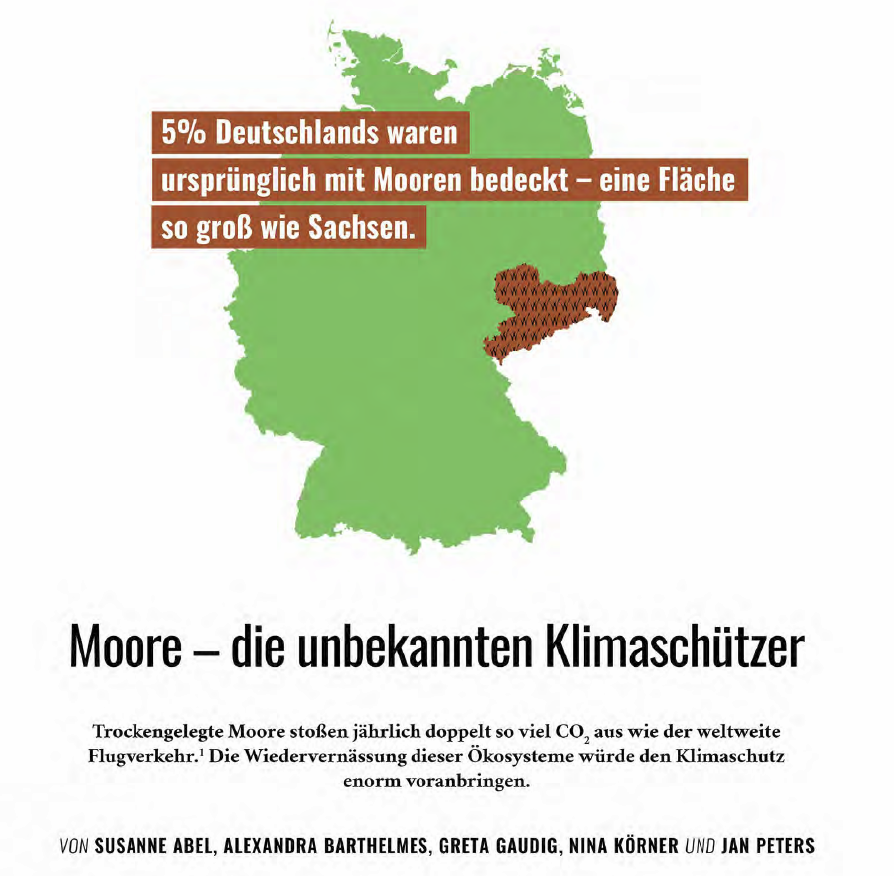 KATAPULT: Moore - die unbekannten Klimaschützer