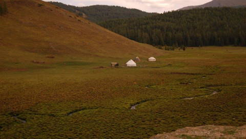 Mire in Altay Mountains (Photo: H. Joosten)