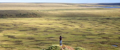 Chokurdach (Photo: H. Joosten)