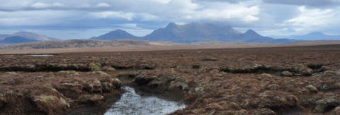 Flow Country, Scotland (Photo: H. Joosten)