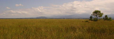 Mire Ispani II (Photo: H. Joosten)