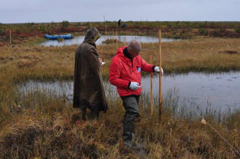 Vegetation survey close to Pokhodsk (Photo: H. Joosten)