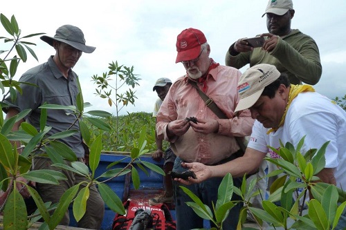 Coring for peat in an Honduran wetland (Photo: Jan Peters)