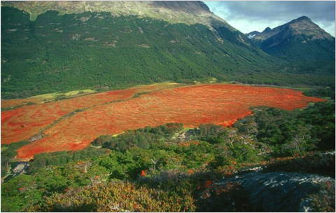 Val de Andorra, Tierra del Fuego (Photo: W. Hahne)